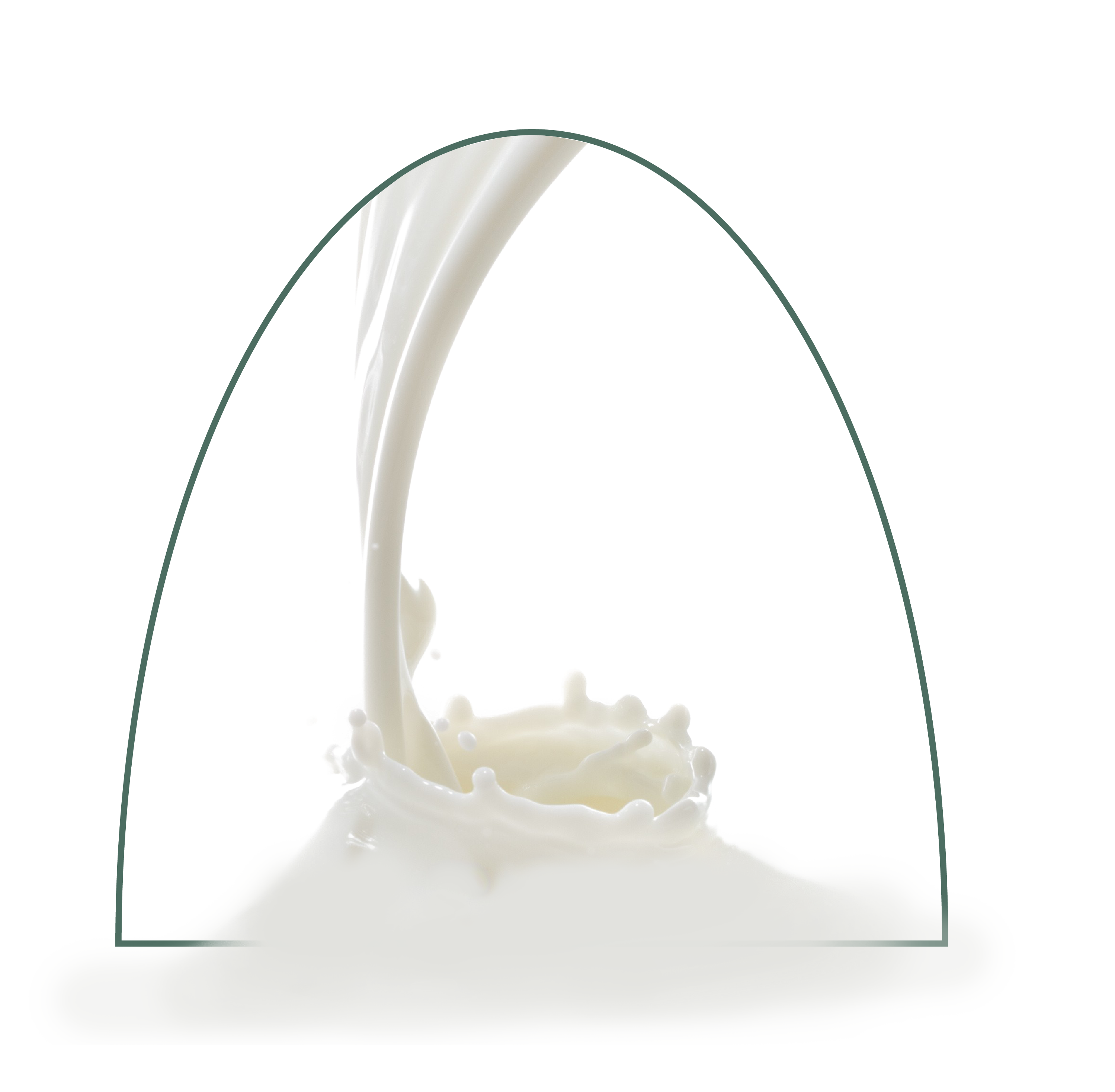 Crema viso latte d’Asina